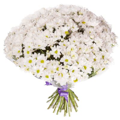 Букет из кустовых хризантем «Белоснежные грёзы»