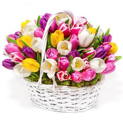 Корзина с тюльпанами «Весенний восторг»